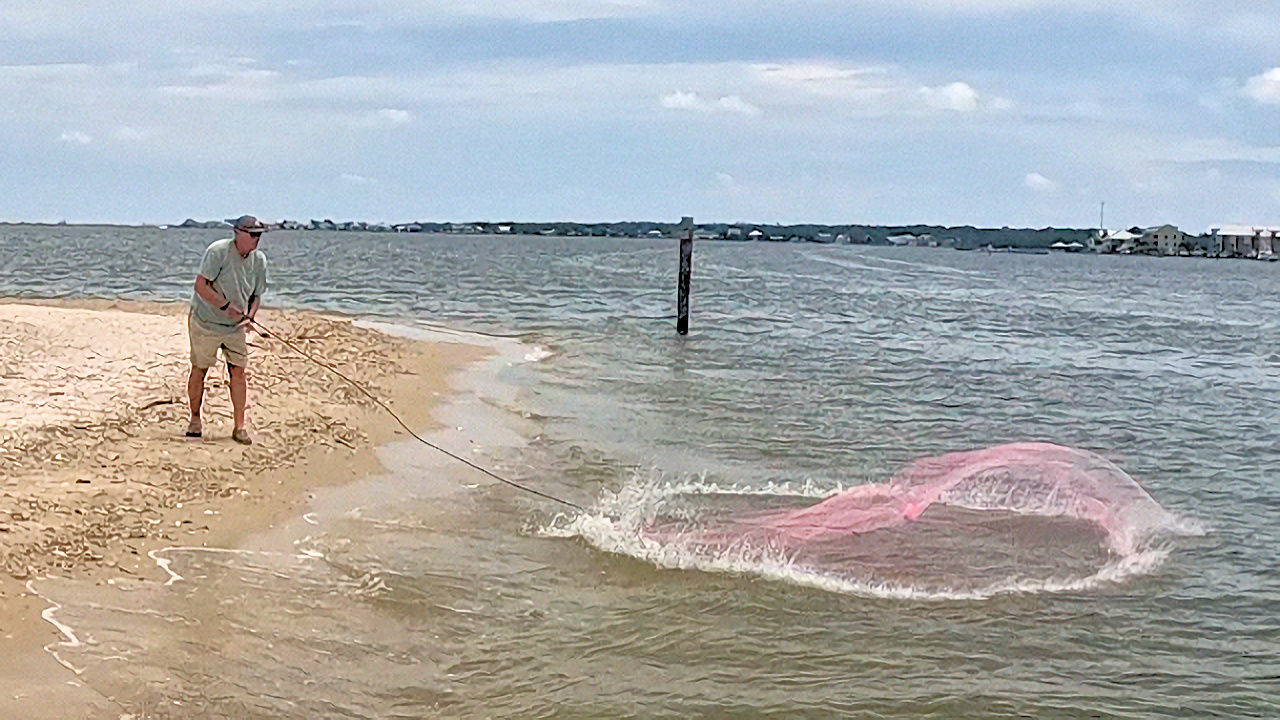 Catching Finger Mullet With a Cast Net